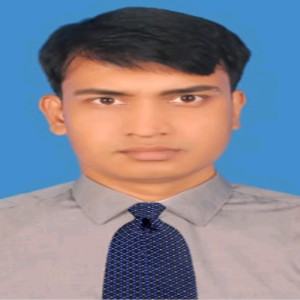 CV Bank Special Advisor